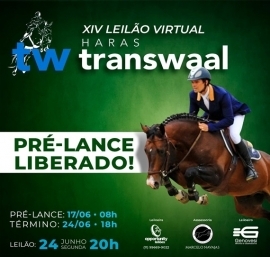 PRÉ-LANCE do XIV leilão liberado!