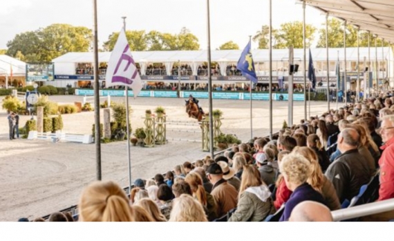 Garanhões utilizados pelo Haras Transwaal são destaques durante o Campeonato Mundial de Cavalos Novos na Bélgica.